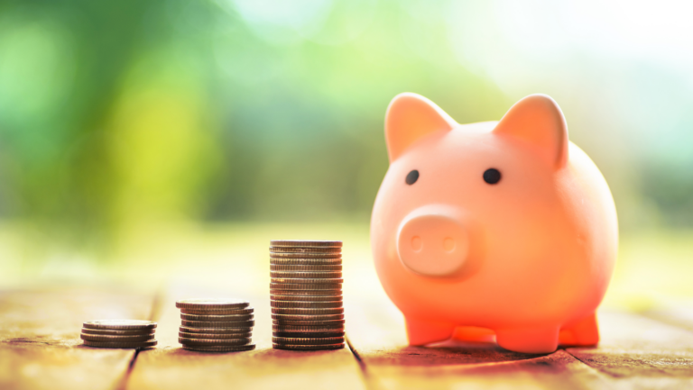 Piggy Bank with money beside it